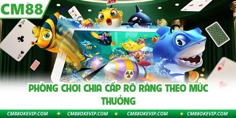 Phòng chơi chia cấp rõ ràng theo mức thưởng